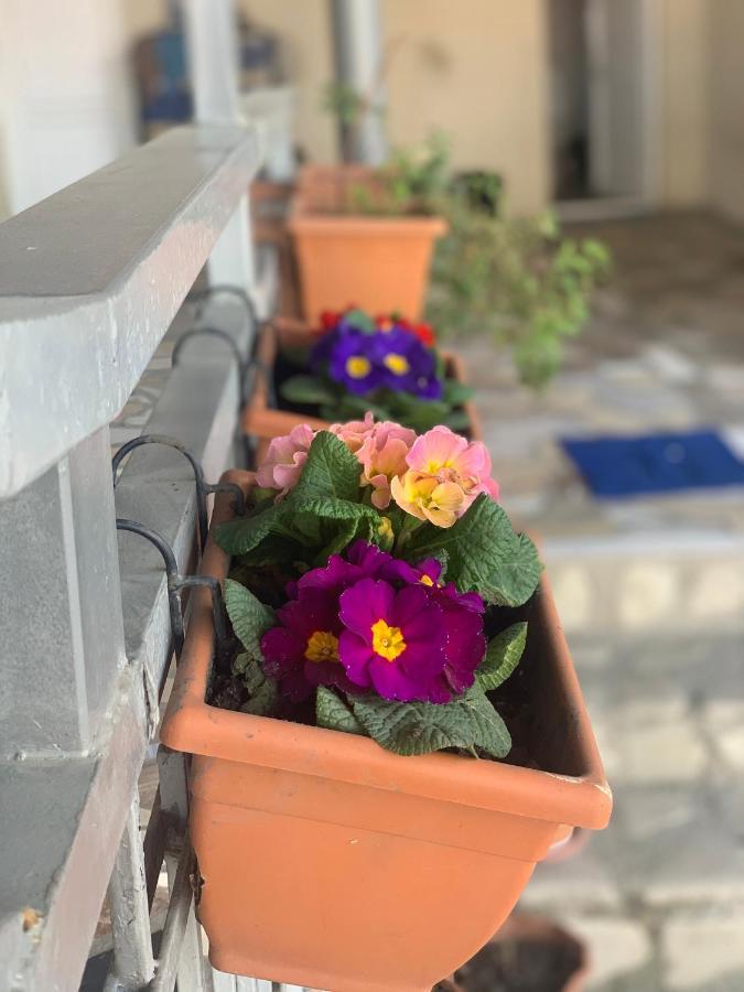 Guest House Loza シグナギ エクステリア 写真